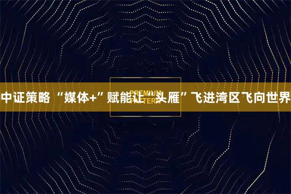 中证策略 “媒体+”赋能让“头雁”飞进湾区飞向世界