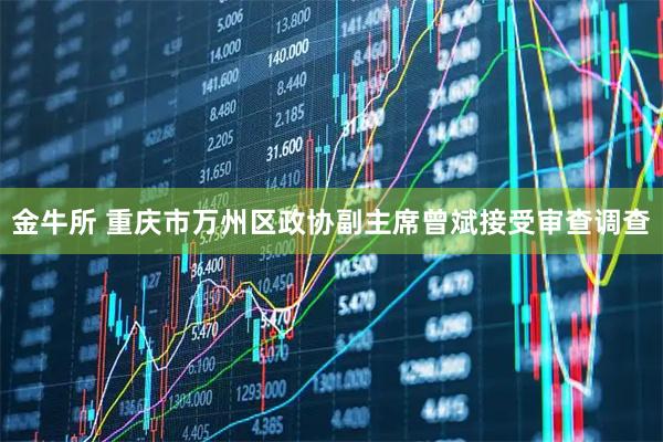 金牛所 重庆市万州区政协副主席曾斌接受审查调查