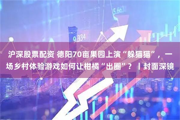 沪深股票配资 德阳70亩果园上演“躲猫猫”，一场乡村体验游戏如何让柑橘“出圈”？丨封面深镜