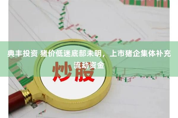 典丰投资 猪价低迷底部未明,上市猪企集体补充流动资金