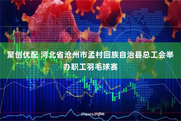 聚创优配 河北省沧州市孟村回族自治县总工会举办职工羽毛球赛