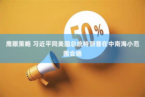 鹰眼策略 习近平同美国总统特朗普在中南海小范围会晤